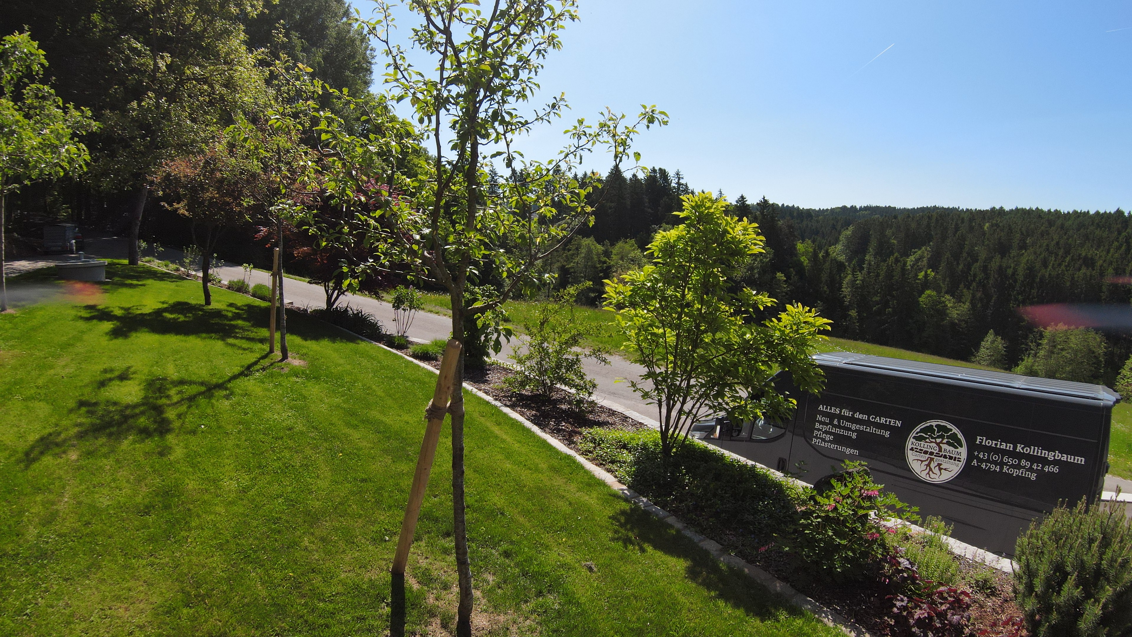 Bannerbild
